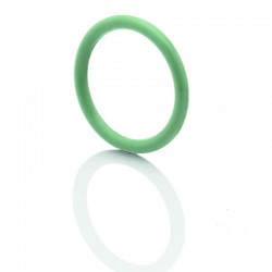 O-Ring 06
